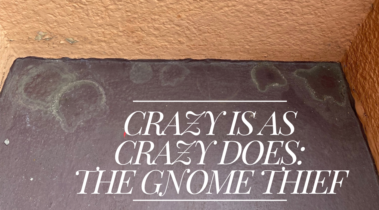 Crazy is as Crazy Does: The Gnome Thief